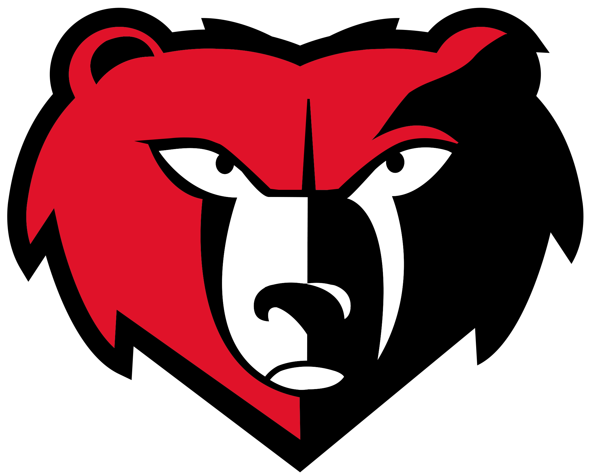 District Logo